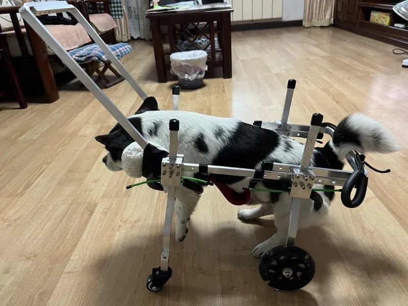 ARSE Hind Limb Wheelchair for Large & Senior Dogs