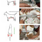 ARSE Hind Limb Wheelchair for Large & Senior Dogs