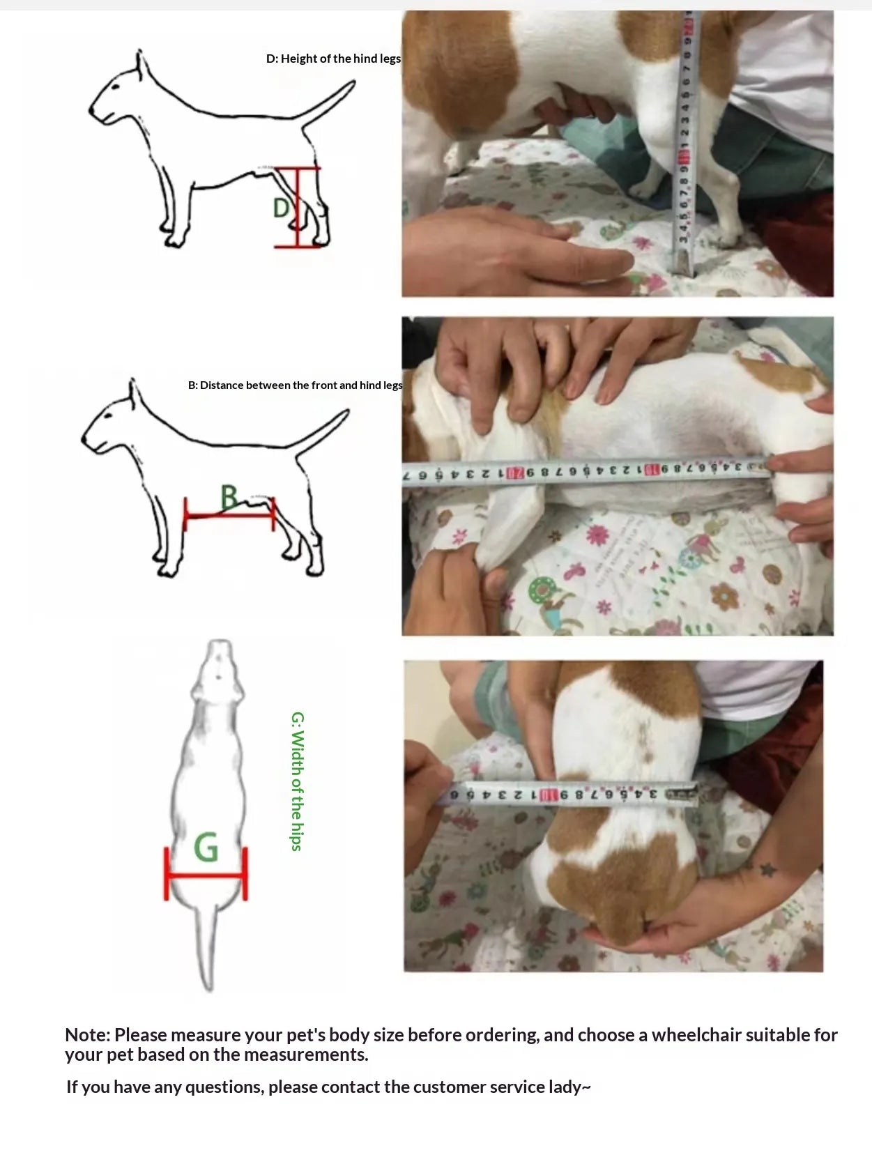 ARSE Hind Limb Wheelchair for Large & Senior Dogs