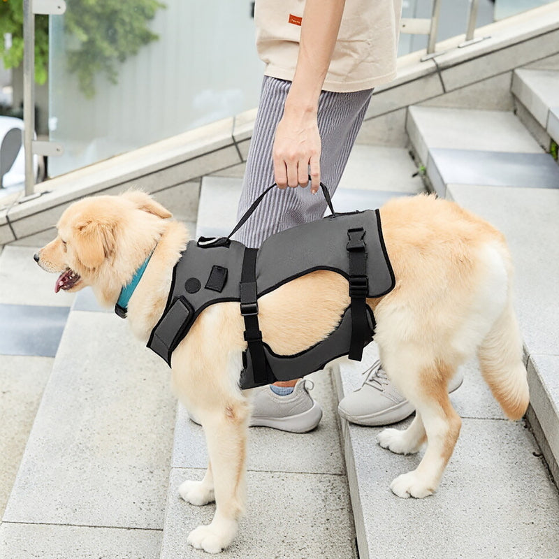 ARSE Mobility Support Harness for Dogs with Weak or Injured Legs