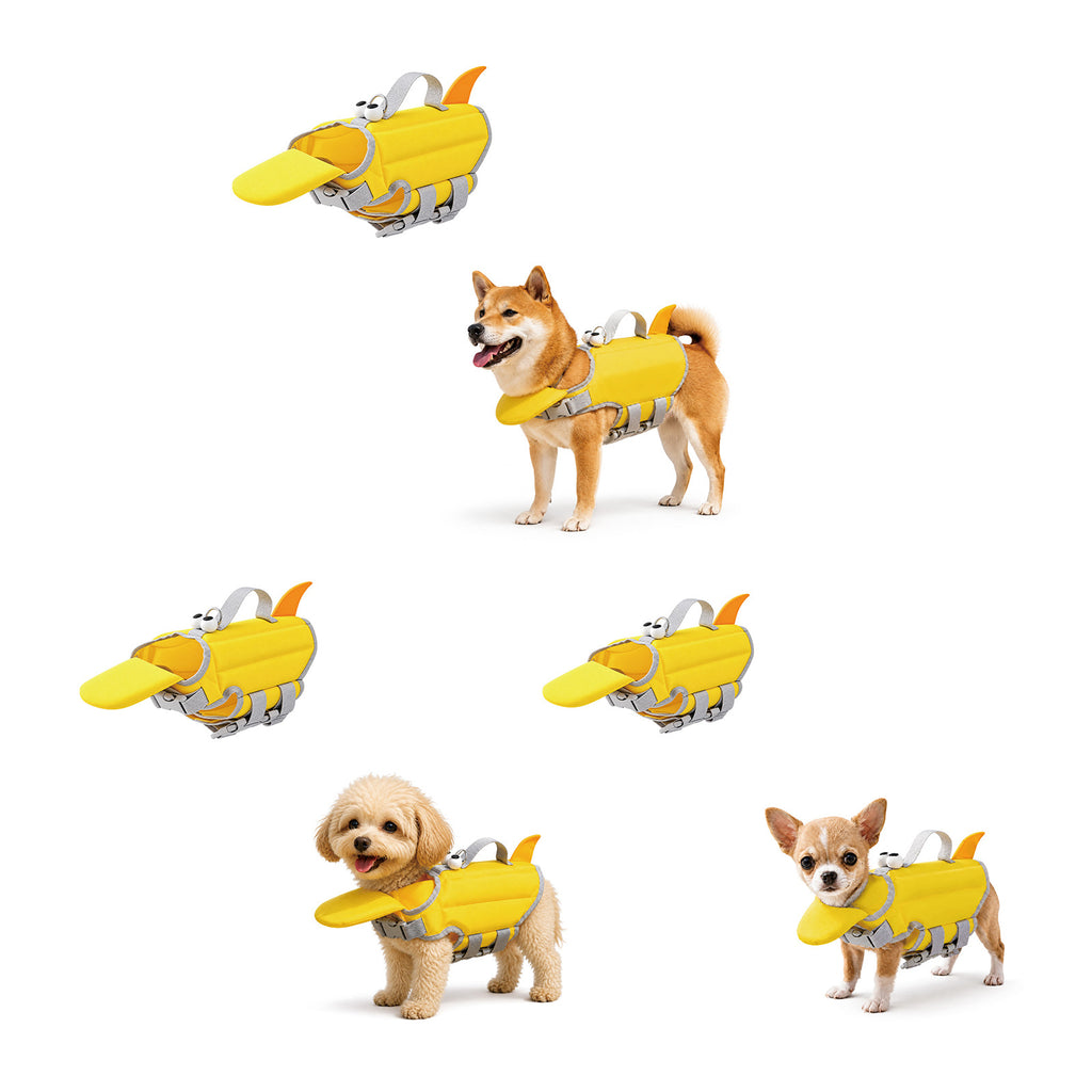 189a70aa23c84c7705cfa7fb4975e5c6