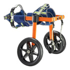 Adjustable dog wheelchair frame showing telescoping height and width bars