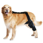 Canine leg joint rehabilitation brace showing anatomical stabilization