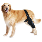 Cruciate Knee Joint Support Brace showing neoprene construction and support plates
