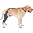 Cruciate knee brace adjustable velcro straps and anti-slip harness ribbon
