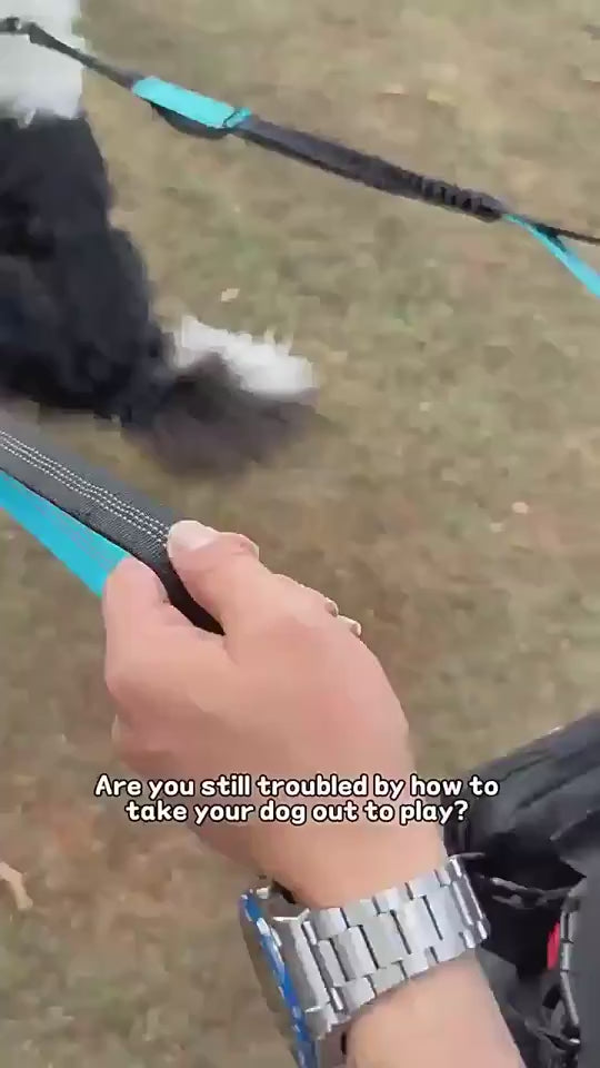 516324681016.mp4